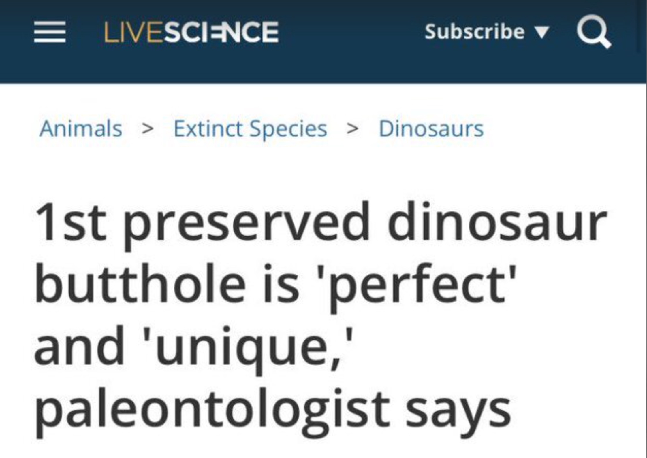 screenshot - Livescience Subscribe a Animals > Extinct Species > Dinosaurs 1st preserved dinosaur butthole is 'perfect' and 'unique,' paleontologist says